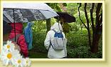 StValery_DCA_14.05.2015 (37)